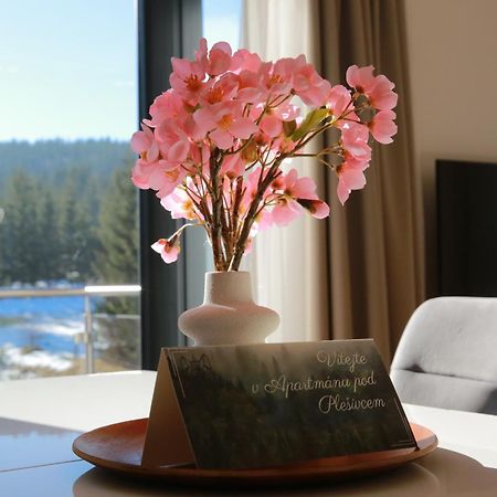 Apartman Pod Plesivcem 아버르타미 외부 사진